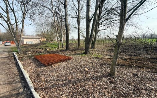 SGP1090 – Villa in Vendita a San Giovanni in Persiceto