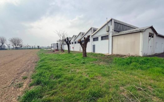 CRE1206 – Capannone in Vendita a Crevalcore